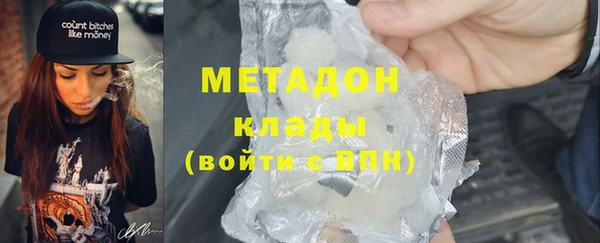 шишки Абаза