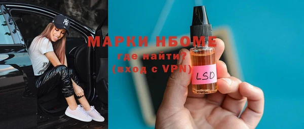 шишки Абаза