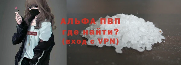 шишки Абаза