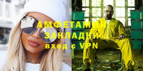 шишки Абаза