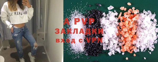 шишки Абаза
