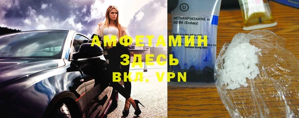шишки Абаза