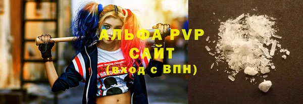 шишки Абаза
